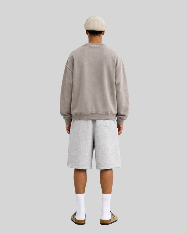 Crewneck Sweatshirt for Men Loose Fit Casual Pullover Hoodie